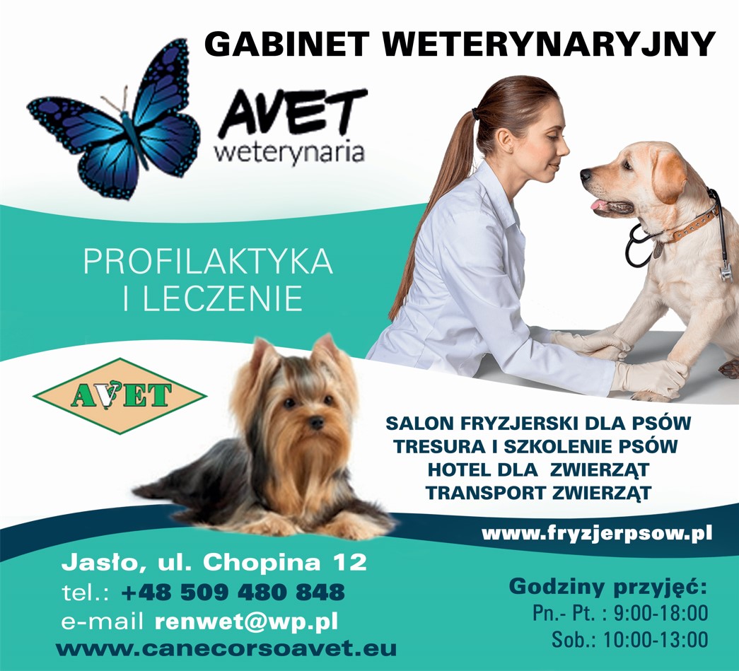 gabinety weterynaryjne JASŁO