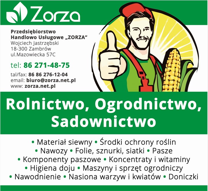 sadzonki drzew ZAMBRÓW