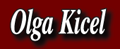 Logo Firmy